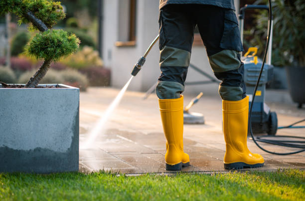 Best Pressure Washing Siding  in Selma, CA